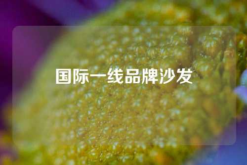 国际一线品牌沙发