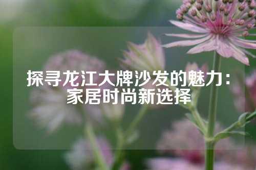 探寻龙江大牌沙发的魅力：家居时尚新选择