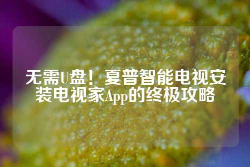 无需U盘！夏普智能电视安装电视家App的终极攻略