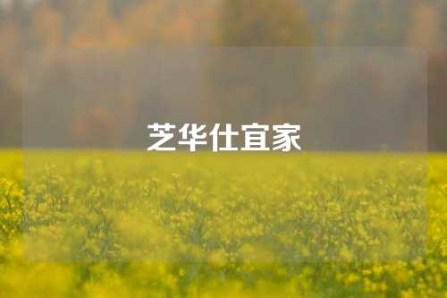 芝华仕宜家