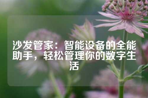 沙发管家：智能设备的全能助手，轻松管理你的数字生活