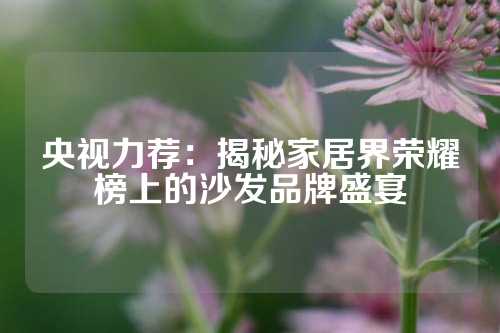 央视力荐：揭秘家居界荣耀榜上的沙发品牌盛宴