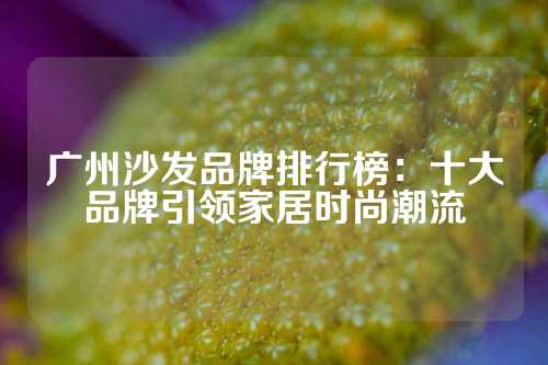 广州沙发品牌排行榜：十大品牌引领家居时尚潮流