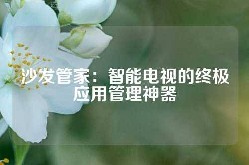 沙发管家：智能电视的终极应用管理神器
