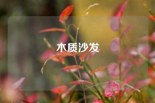 木质沙发