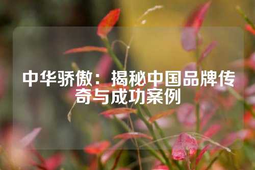 中华骄傲：揭秘中国品牌传奇与成功案例