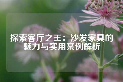探索客厅之王：沙发家具的魅力与实用案例解析