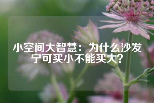 小空间大智慧：为什么沙发宁可买小不能买大？