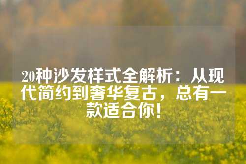 20种沙发样式全解析：从现代简约到奢华复古，总有一款适合你！