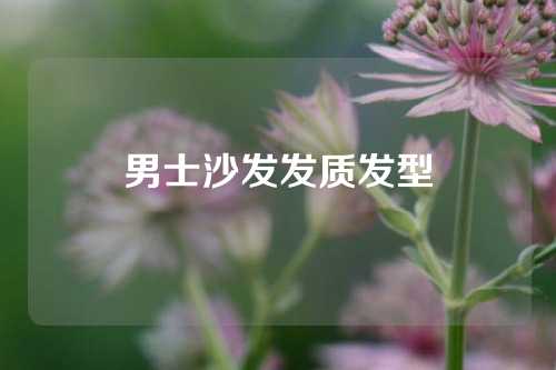男士沙发发质发型