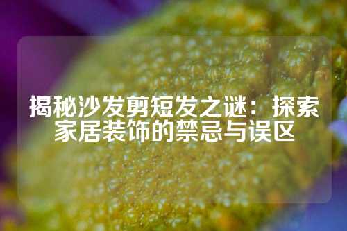 揭秘沙发剪短发之谜：探索家居装饰的禁忌与误区