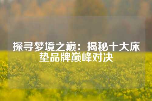 探寻梦境之巅：揭秘十大床垫品牌巅峰对决