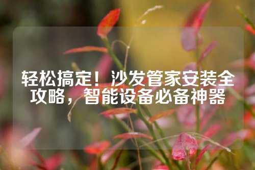 轻松搞定！沙发管家安装全攻略，智能设备必备神器