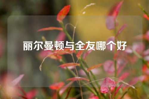 丽尔曼顿与全友哪个好