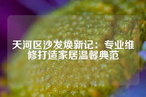 天河区沙发焕新记：专业维修打造家居温馨典范